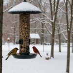 Froid glacial : découvrez l’aliment miracle pour protéger les oiseaux chez vous